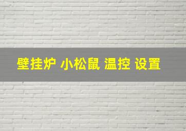 壁挂炉 小松鼠 温控 设置